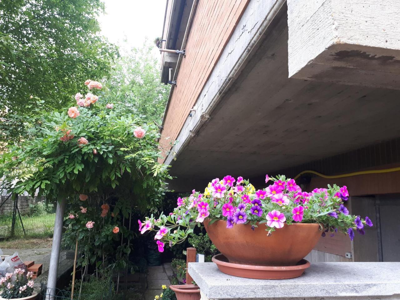 B&B Papa Leone Countryrooms Rzym Zewnętrze zdjęcie